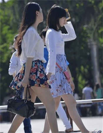 野花视频tz