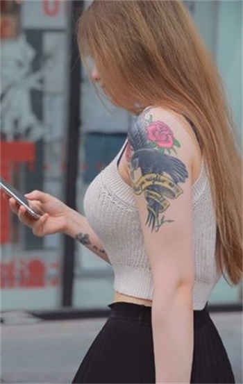狼车诗晴全文阅读