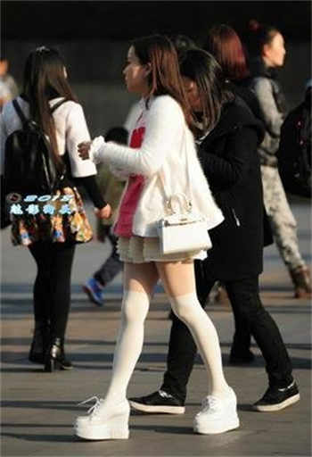 磁力岛直达