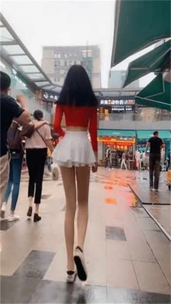 四仔之秦淮才女在线观看