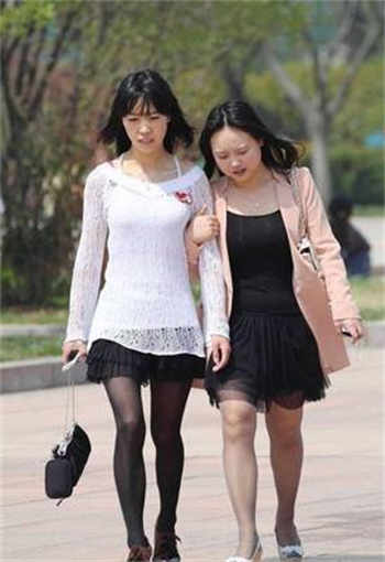 兔子先生双孑兄弟
