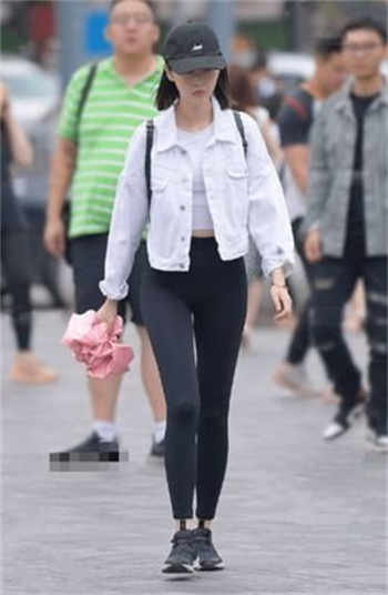 大象导航回家怎么看不了